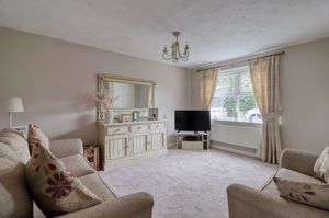 Lounge- click for photo gallery